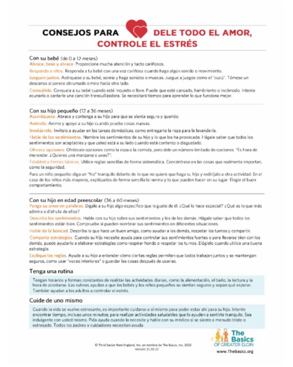 5 basics tip sheets spanish